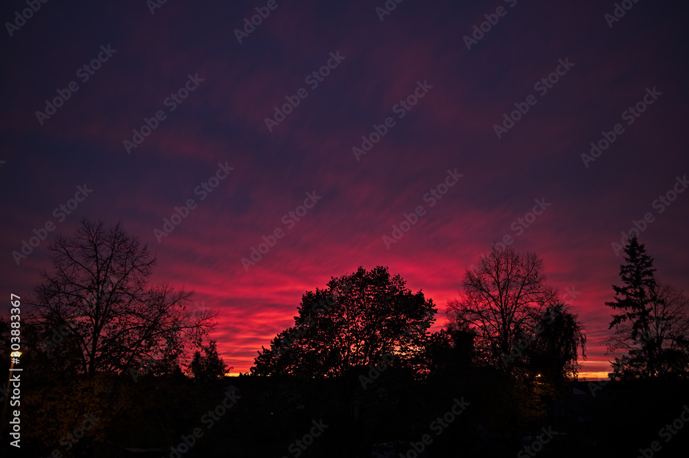 Beautiful sunset with silhouetted trees Beautiful sunset with silhouetted trees