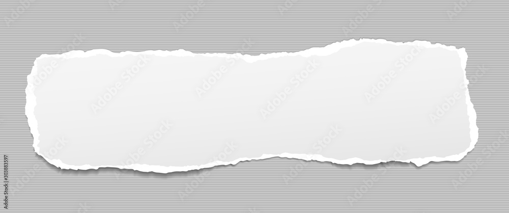 Piece of torn, white realistic horizontal paper strip with soft shadow is lined background. Vector illustration
