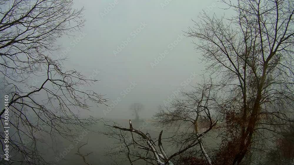 Winter Nature Landscape with river and trees. Frozen nature scene 4K UHD video footage. Ultra high definition Winter Nature Landscape with river and trees. Frozen nature scene 4K UHD video footage. Ultra high definition