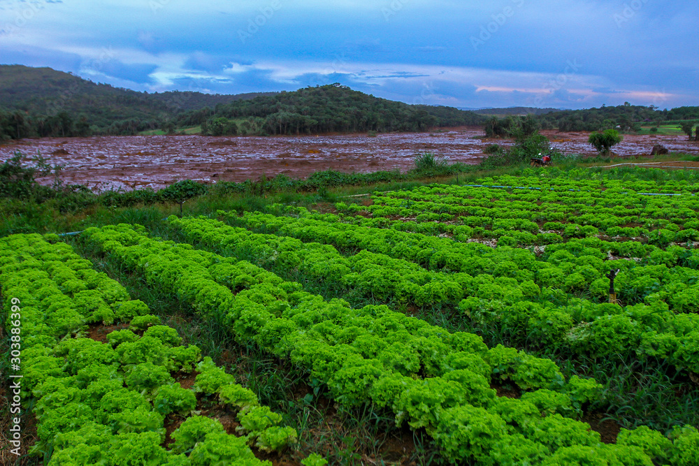 Mineral tailings mud after dam rupture in Brumadinho, Minas Gerais, Brazil