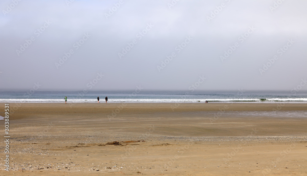 The coast of the Pacific Ocean after the storm in the foggy morning. Logs and driftwood on the Tofino Long Beach ( year-round surfing )Vancouver Island. British Columbia, Canada The coast of the Pacific Ocean after the storm in the foggy morning. Logs and driftwood on the Tofino Long Beach ( year-round surfing )Vancouver Island. British Columbia, Canada