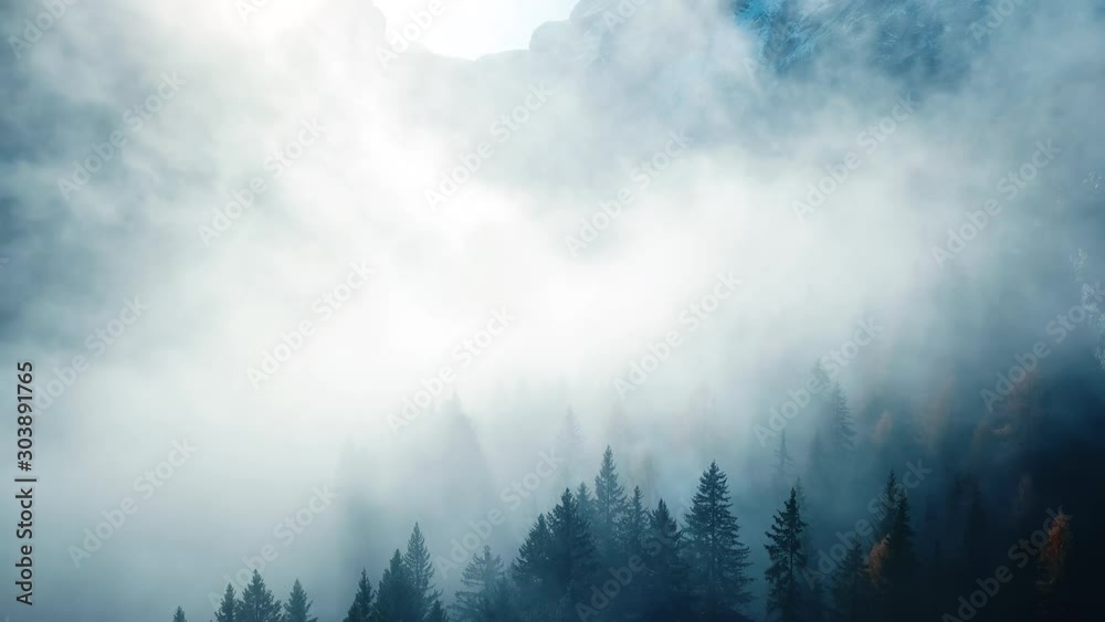 beautiful forest landscape, misty morning, scenic nature with fog