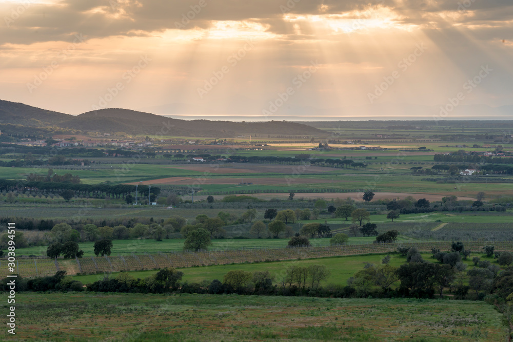 Maremma - Alberese