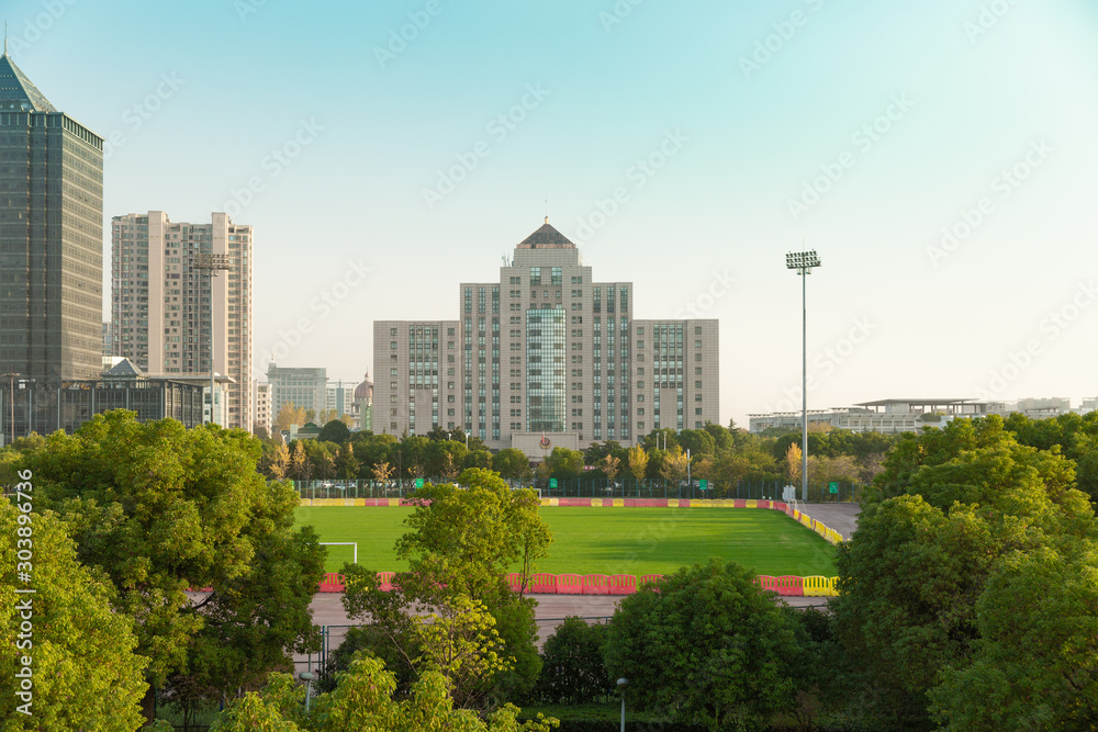 Fototapeta premium central park in the city