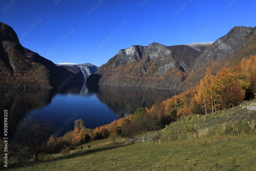 panoramic view to the idyllic Aurland Fjord with majestic mountains in colorful fall landscape