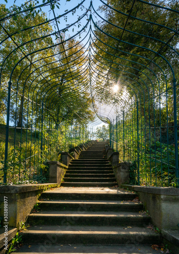 Fototapeta Naklejka Na Ścianę i Meble -  Stairs in the Babelsberg park