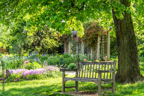 Foto wooden bench at flower garden park