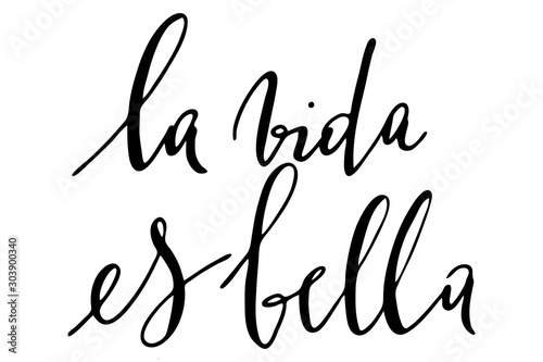 Spanish phrase life is beautiful handwritten text vector