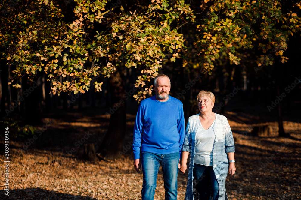 Obraz premium Pensioners walk in the park. Happy old age.