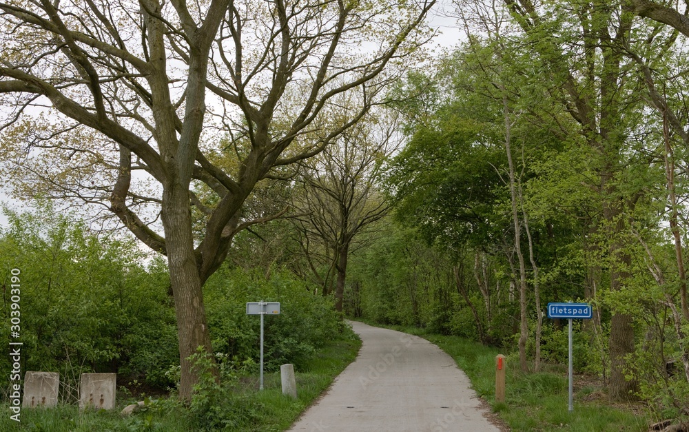 Bicycle path. Echten Drenthe Netherlands Bicycle path. Echten Drenthe Netherlands