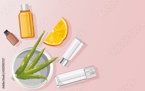 Organic aloe vera treatment composition