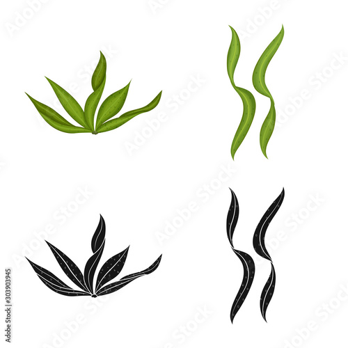 Vector design of protein and sea icon. Collection of protein and natural stock vector illustration.