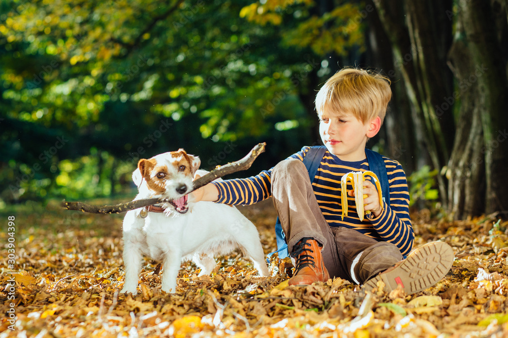 True love friendship concept. Cute little boy with his dog Jack Russel Terrier sitting on fall leaves True love friendship concept. Cute little boy with his dog Jack Russel Terrier sitting on fall leaves