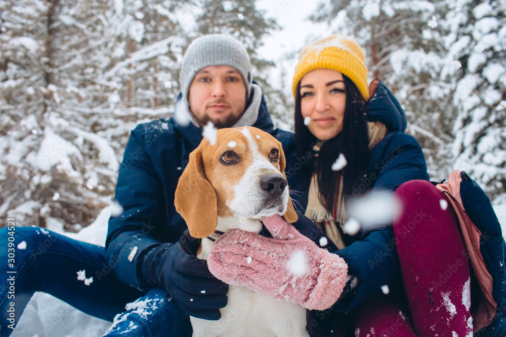 Closeup portrait of a couple with a dog in cold weather. young couple walking a dog in a winter park. The guy and the girl are lying in the snow. Active winter holiday with beagle dog. selective focus