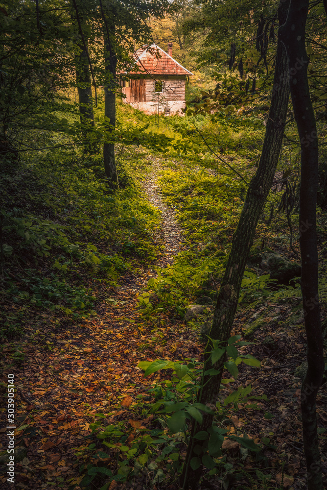 Small trail in the forest leading to a cabin in the wood Small trail in the forest leading to a cabin in the wood