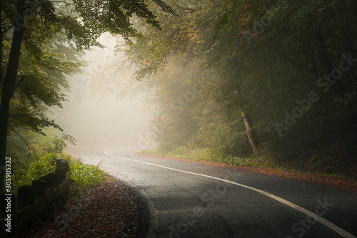 Twisted road through a beautiful forest in the mountains during autumn on a foggy day
