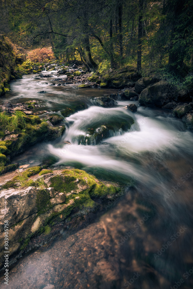 River flowing between mossy rocks near a forest River flowing between mossy rocks near a forest