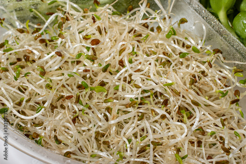 Sprouts of young alfalfa is a nutritious and healthy ingredient for salad.