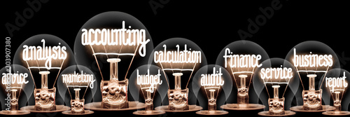 Light Bulbs with Accounting Concept