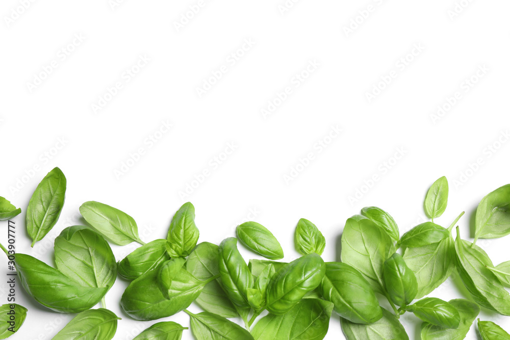 Fresh green basil leaves on white background, top view Fresh green basil leaves on white background, top view