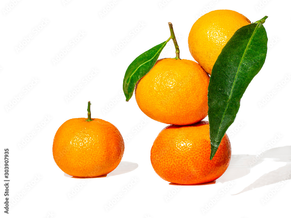 Three tangerines with foliage on a white background. Three tangerines with foliage on a white background.