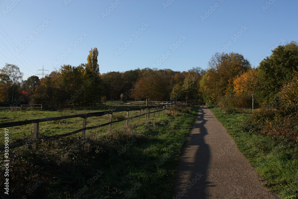green autumn path with blue sky green autumn path with blue sky