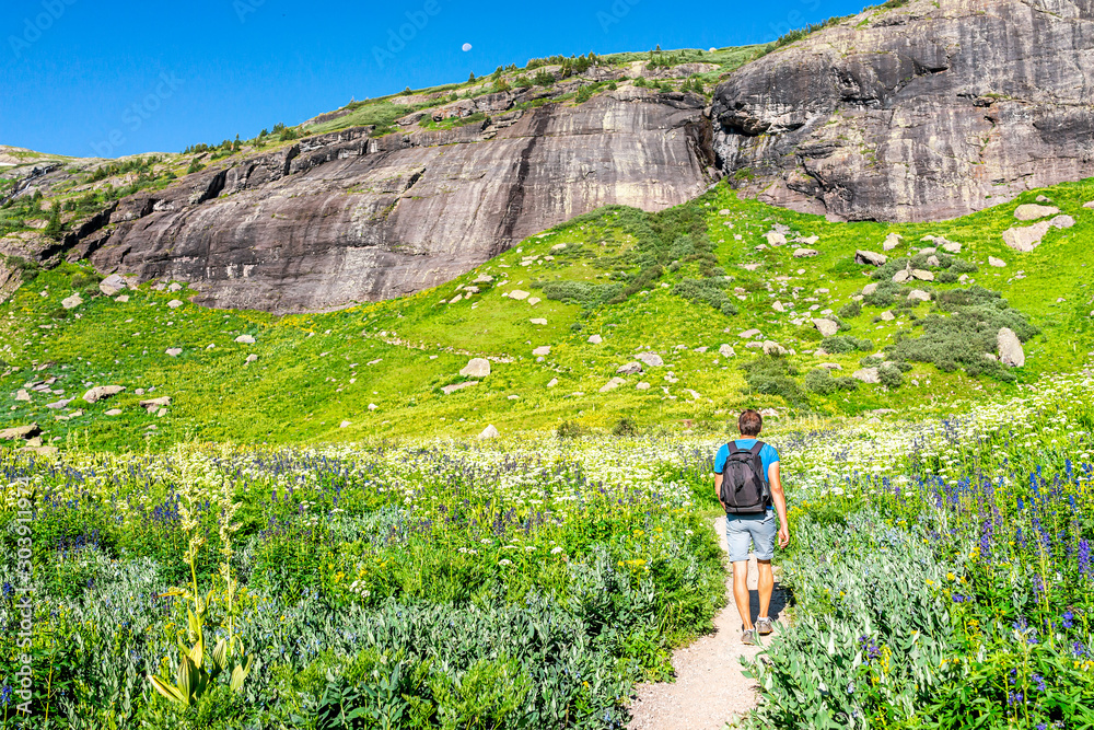 Φωτογραφία Delphinium nuttallianum larkspur flowers and man walking on meadow field trail t