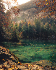 Fototapete Khaki Blausee in der Schweiz im Herbst  © Kevin