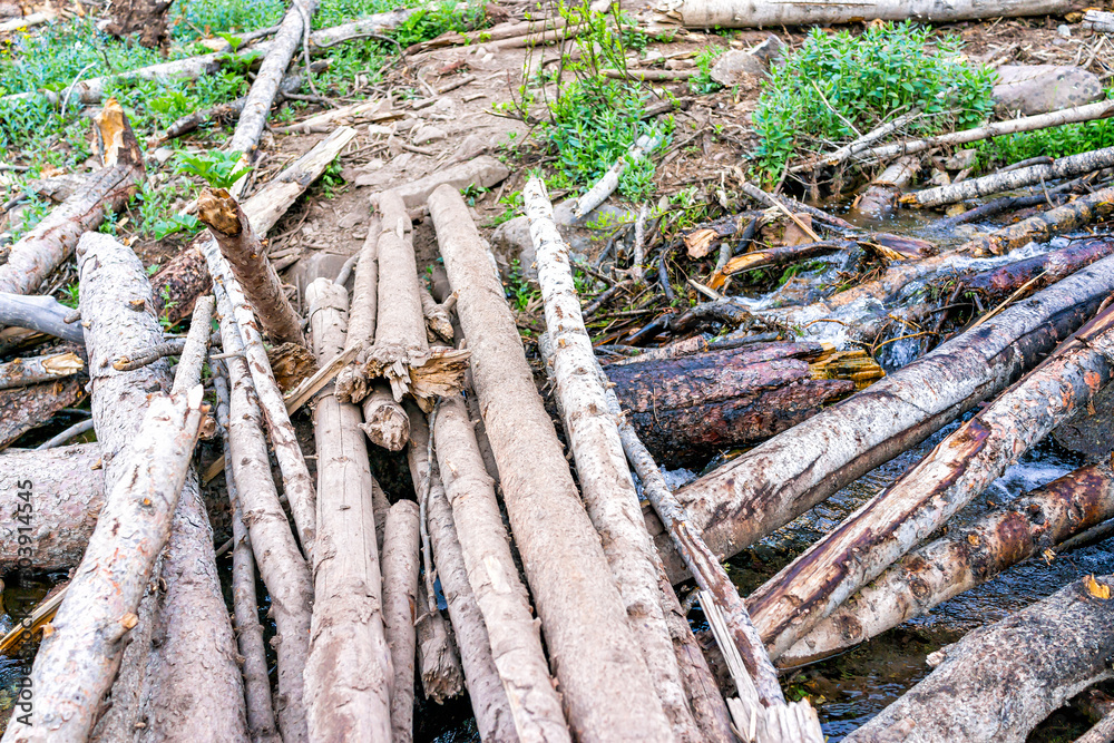 Footpath trail to Ice lake near Silverton, Colorado in August 2019 summer morning with avalanche debris logs covering river crossing Footpath trail to Ice lake near Silverton, Colorado in August 2019 summer morning with avalanche debris logs covering river crossing