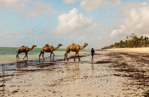 Photography Diani, Mombasa, Kenya, Afrika oktober 13, 2019