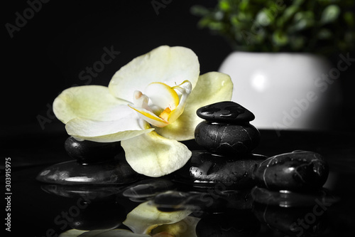 Pebbles and white yellow flower on black background. Smooth spa stones and orchid in water