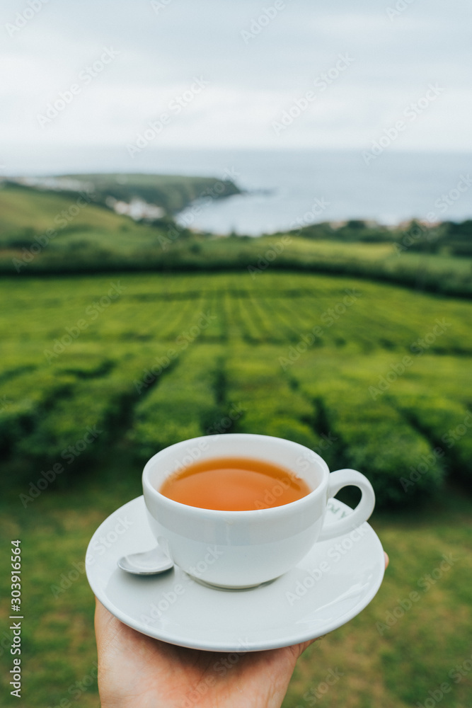 Human hand holding white Cup of fresh tea against tea plantation and atlantic ocean on Sao Miguel Island, Azores Islands, Portugal. Human hand holding white Cup of fresh tea against tea plantation and atlantic ocean on Sao Miguel Island, Azores Islands, Portugal.