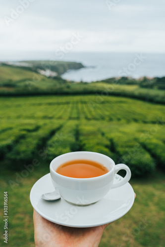 Human hand holding white Cup of fresh tea against tea plantation and atlantic ocean on Sao Miguel Island, Azores Islands, Portugal.