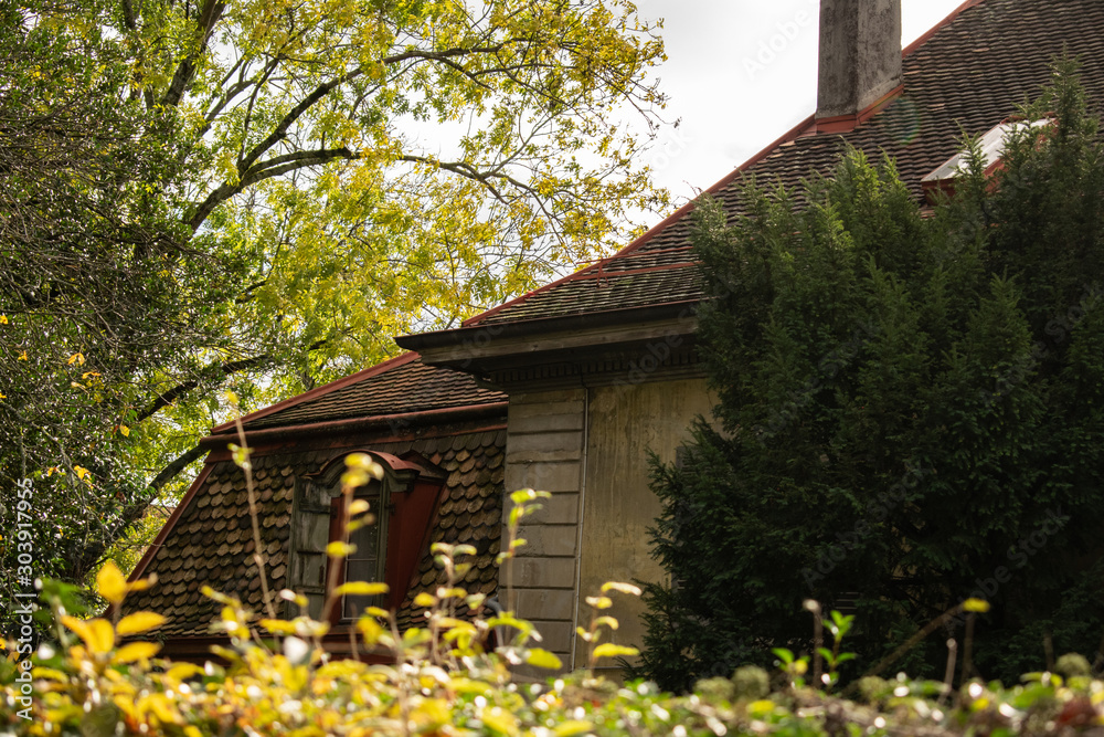 old house in the forest old house in the forest