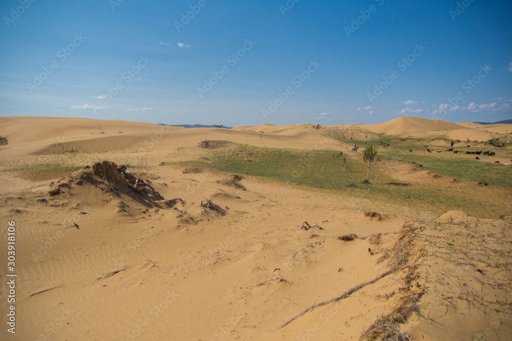 Sand dune desert in mongolia