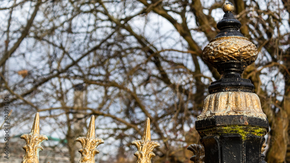 Obraz premium Gold accented fence post