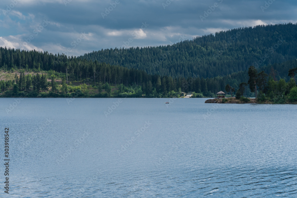 Dark water lake surrounded by forest