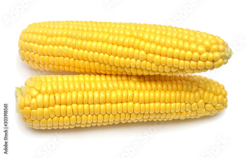 Corn isolated on white background. Top view, flat lay