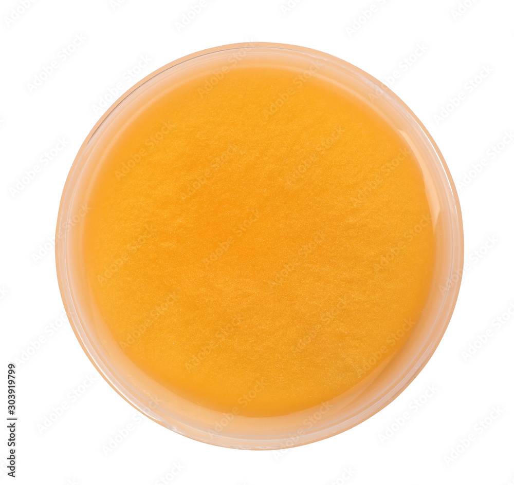 Orange slime in plastic container isolated on white, top view. Antistress toy Orange slime in plastic container isolated on white, top view. Antistress toy