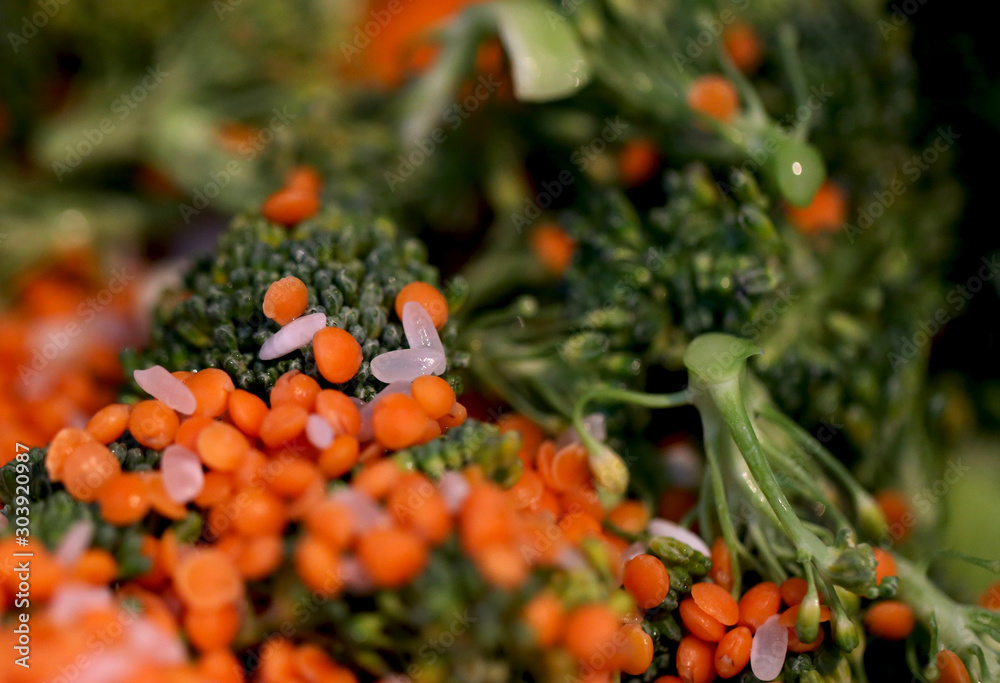Preparing Delicious Healthy Soup Meal with green broccoli red lentil and rice, Healthy meal materials, Broccoli soup with lentil and rice Preparing Delicious Healthy Soup Meal with green broccoli red lentil and rice, Healthy meal materials, Broccoli soup with lentil and rice