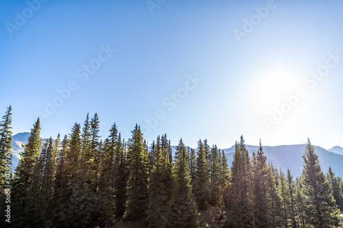 Green pine forest trees and sun in blue sky from Colorado highway scenic road 550 wide angle of San Juan rocky mountains near Silverton during morning sunrise