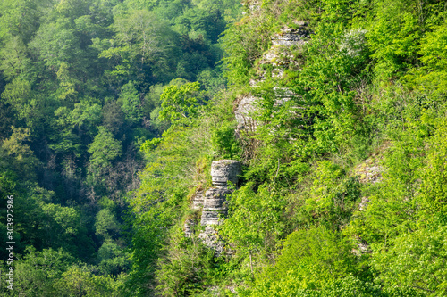 Rocky cliff in dense green forest. Spring colors in the mountain forest.
