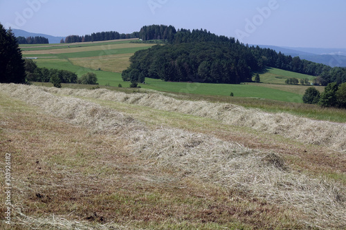 Gemähte Wiese an der Wasserkuppe photo