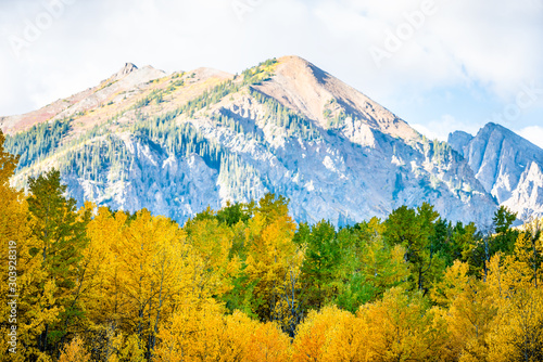 Castle Creek road view of green orange yellow foliage aspen trees in Colorado rocky mountains autumn fall peak