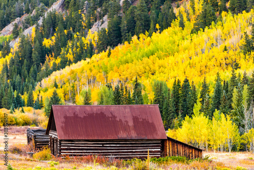 Castle Creek road wooden house cabin building in Ashcroft ghost town with yellow foliage aspen trees in Colorado rocky mountains autumn fall photo