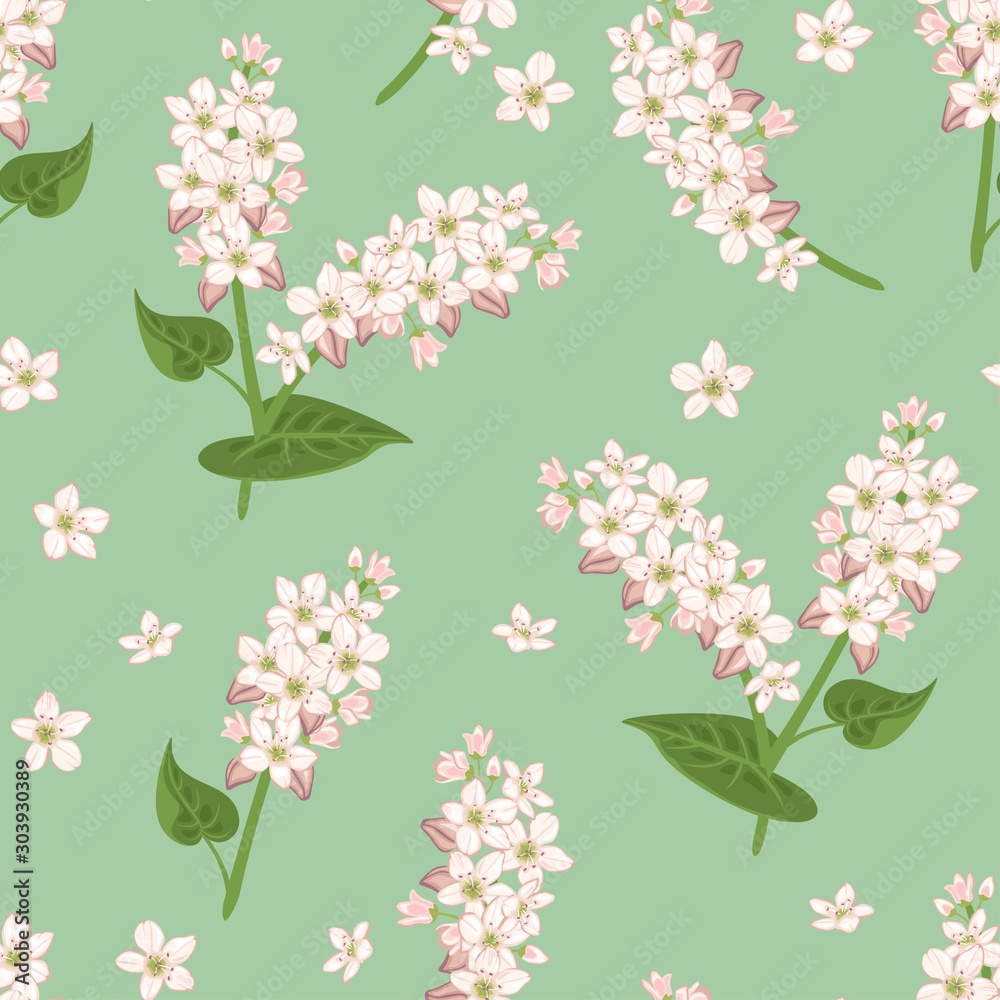 Seamless pattern with blooming buckwheat branches on green background. Vector illustration of cereal plant flowers and green leaves in cartoon simple flat style.