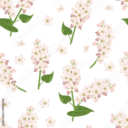 Buckwheat seamless pattern on a white background. Vector illustration of a blooming cereal plant in cartoon simple flat style.