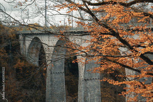 tree with autumnal leaves in front of sitter bridge of st. gallen photo