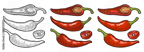 Chilli whole, half and slice. Vector vintage engraving