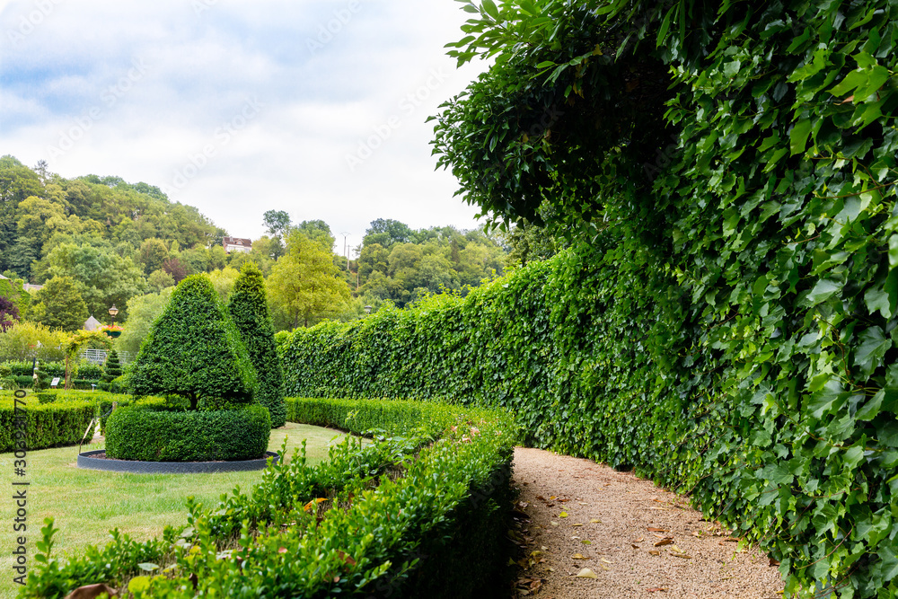 Figures in shape of swirl and cone from the bushes